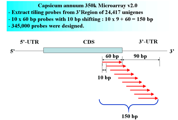 Capsicum annuum 350k Microarray v2.0